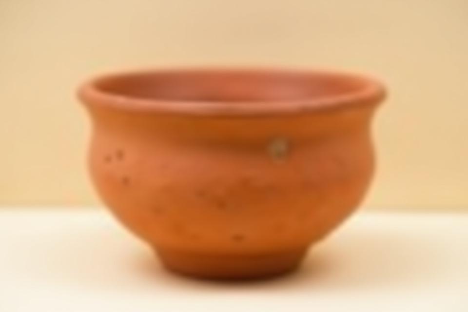 Rustikale Terrakotta-Schale